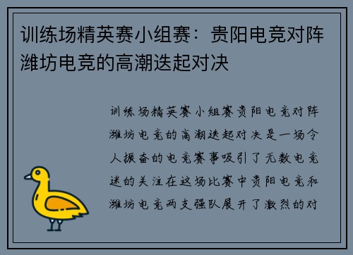 训练场精英赛小组赛：贵阳电竞对阵潍坊电竞的高潮迭起对决